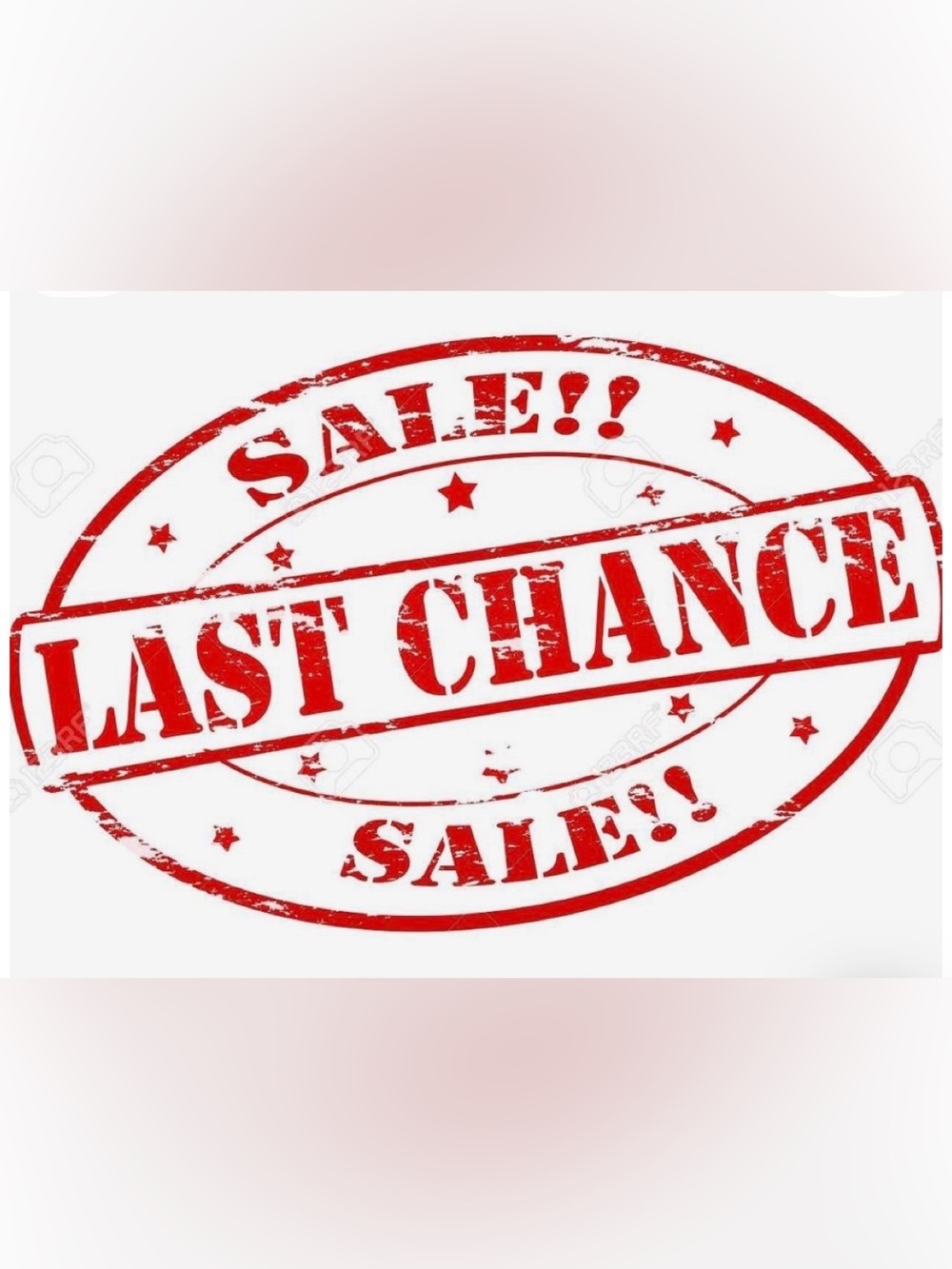 Make Your Offer Today!